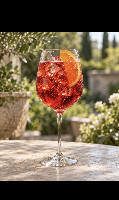 CAMPARI SPRITZ