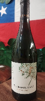 Metropolitano Chardonnay