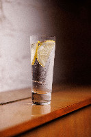Gin Tônica