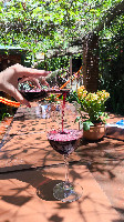 Vinho da Casa