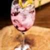 Gin Tônica com  Especiarias