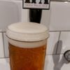 LAGUNITAS IPA 300ml