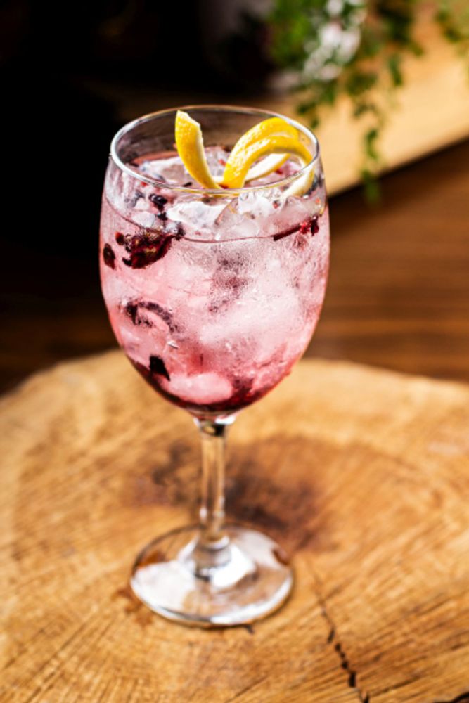Gin Tônica com  Especiarias