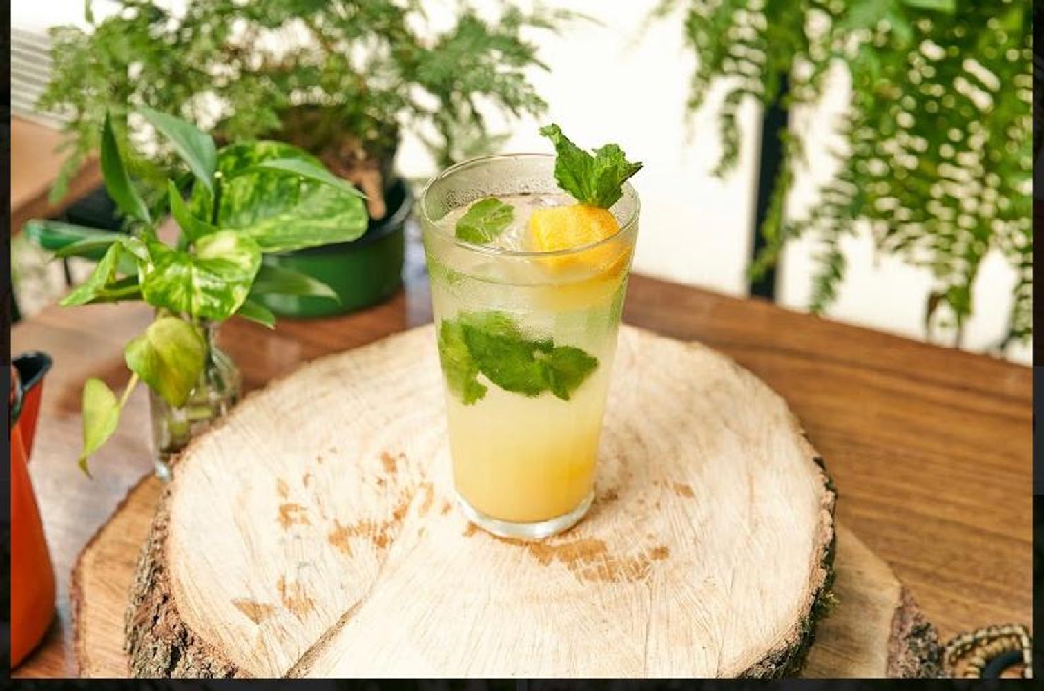 Soda da Casa