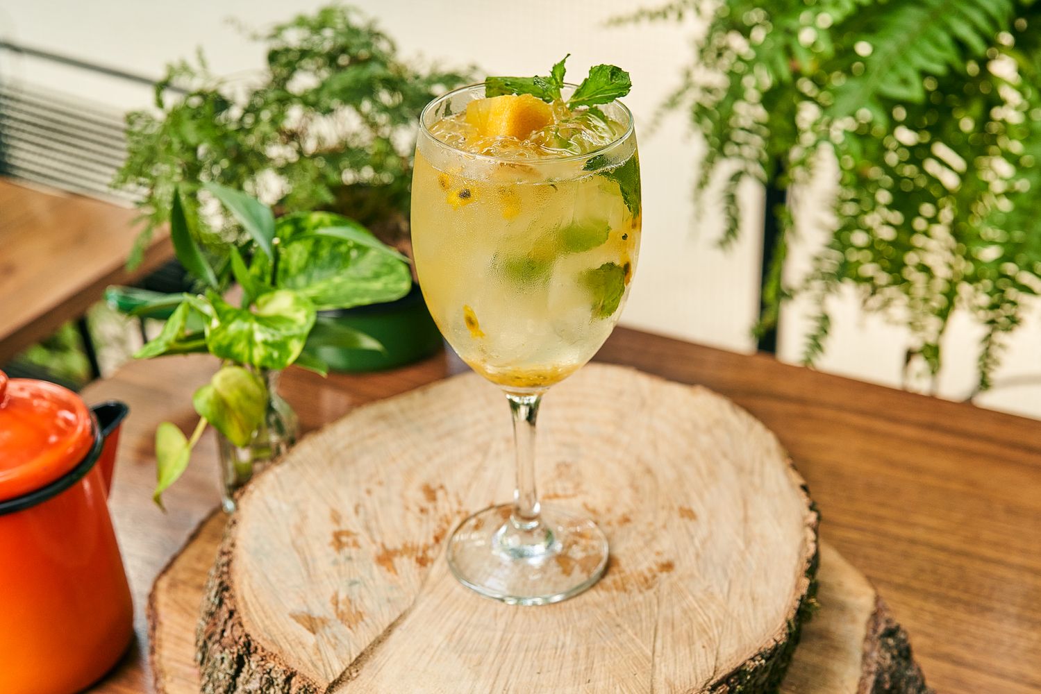 Gin Tônica de Maracujá