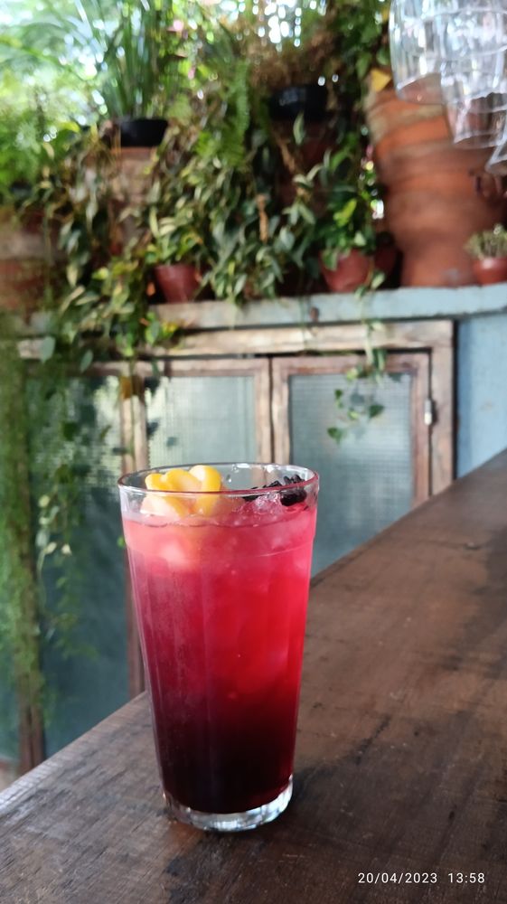 Soda de Hibisco