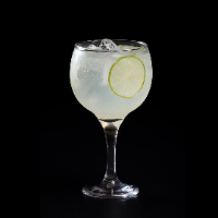 Gin Tônica