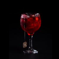 Gin Tônica Infusionada de frutas