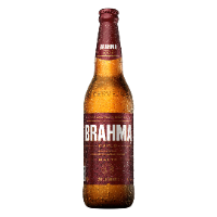 Brahma Duplo Malte (600)