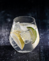 Gin + Tônica