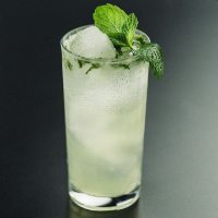 MOJITO GENGIBRE