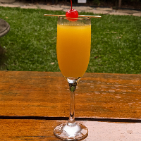 Mimosa