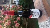 Meia Garrafa Syrah