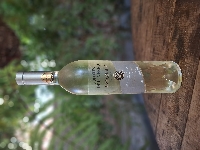 Colheita de inverno sauvignon blanc