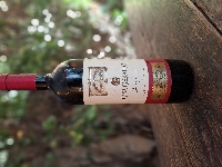 Cabernet Sauvignon Casa Geraldo