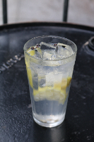 Seleção de Gins