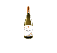 Settesoli Pinot Griggio