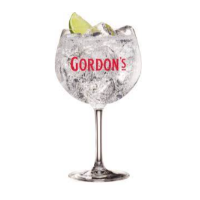 Gin Tônica Gordon's