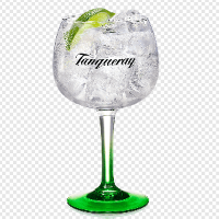 Gin Tônica Tanqueray