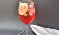 Campari Tonic