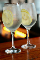 Gin Tônica