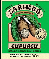 CUPUAÇU COM HORTELÃ - 300 ml