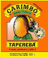SUCO DE TAPEREBÁ - 300 ml