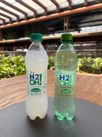H2O