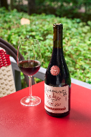 LE JAZZ 2022 SYRAH TINTO