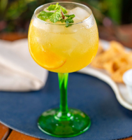 Tropical Gin