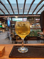 Gin Tropical ( O mais pedido)