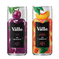 Suco Del Valle - Lata 290 ml