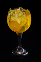 GIN TROPICAL