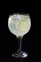 GIN TÔNICA