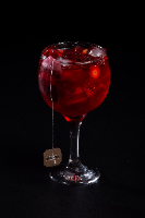 GIN TÔNICA COM INFUSÃO DE FRUTAS SILVESTRES