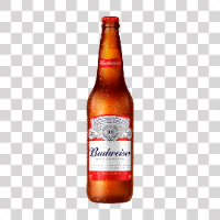 BUDWEISER