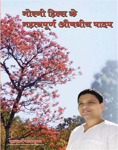 Morni Hills ki Mahatvapurna Aushdhiya Paadap