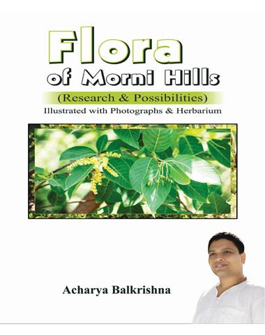Flora of Morni Hills