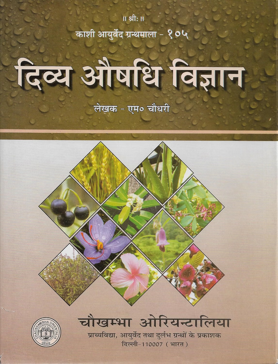 Divya Aushadi Vigyan : The Science Of Divine Medicine