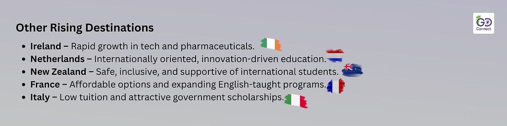 UK or USA… or Beyond? Top Countries to Study In for Your Global Education Journey