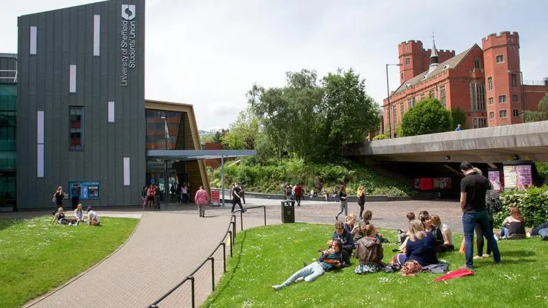 University of Sheffield Opens Applications for BSc Biomedical Science