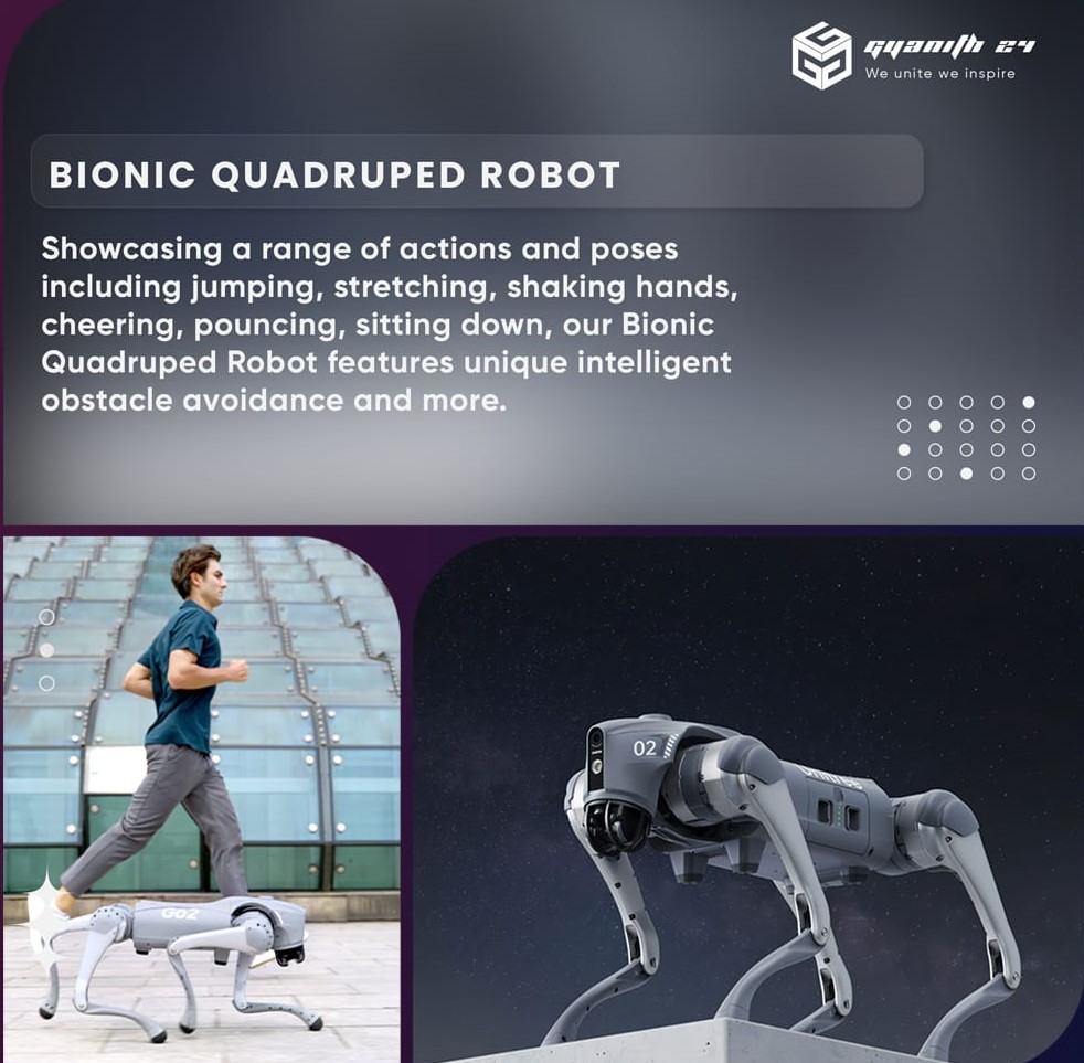Bionic Quadruped Robot Show