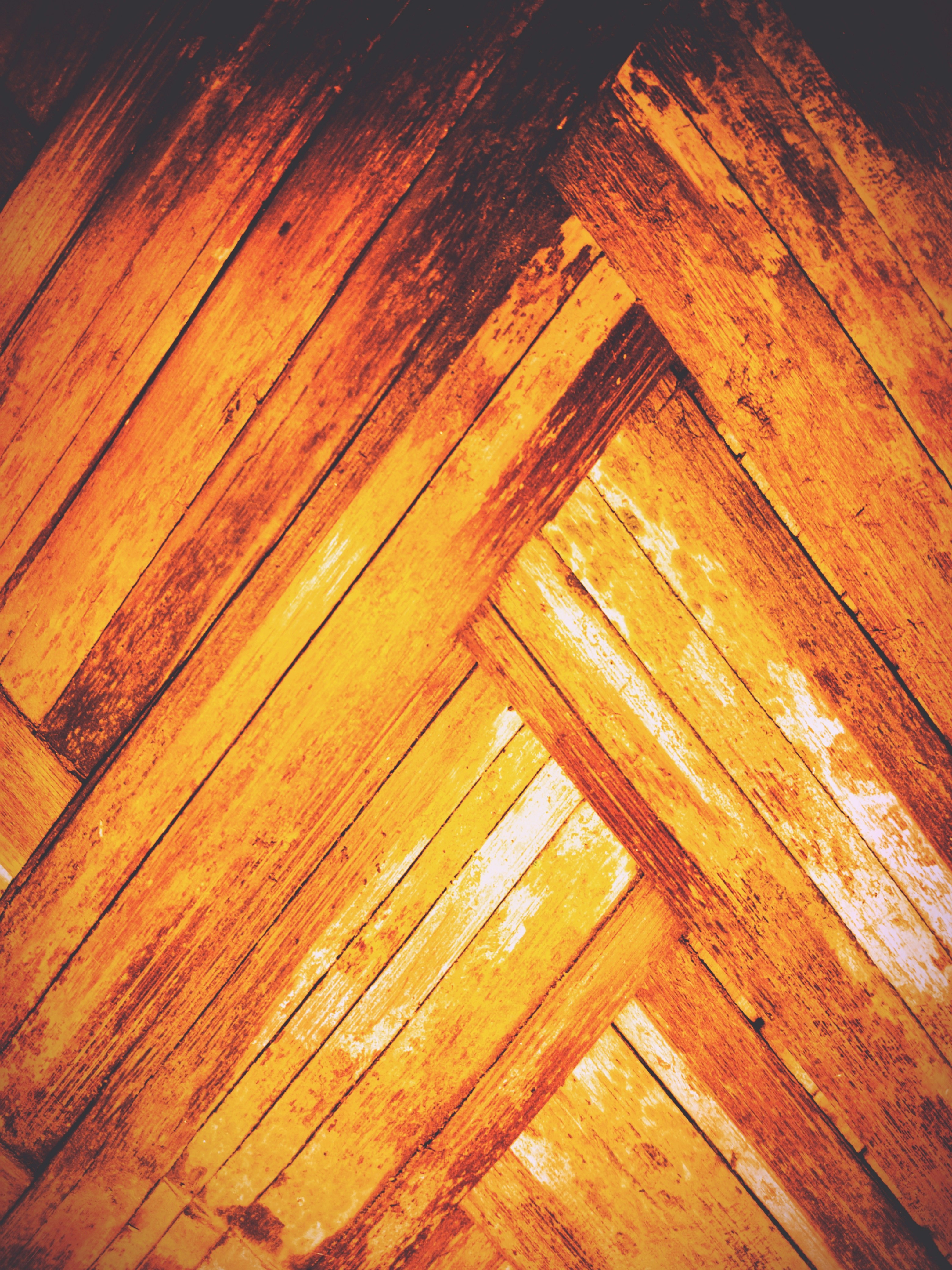 Holz