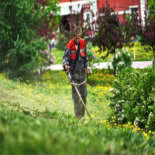 Gartenpflege & Landschaftsbetreuung