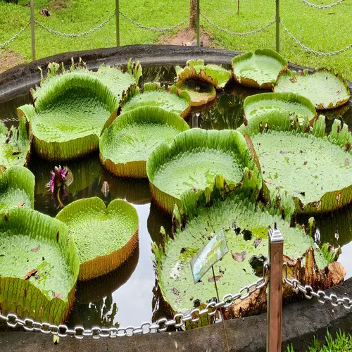 Gartengestaltung & Naturintegration