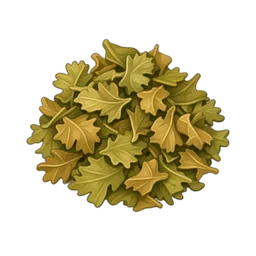 Coriander, Leaf, Dried