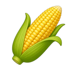 Corn, Raw