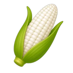 Corn, Sweet, White, Raw