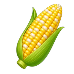 Corn, Sweet, Yellow and White Kernels, Fresh, Raw
