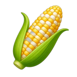 Corn, Sweet, Yellow and White, Raw